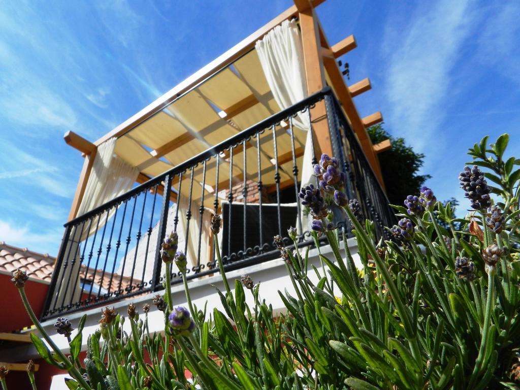 House Of Milka Villa Zadar Exteriör bild
